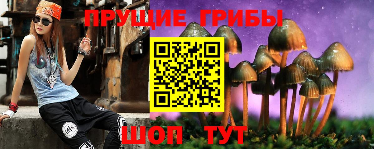 Псилоцибиновые грибы Magic Shrooms Северск