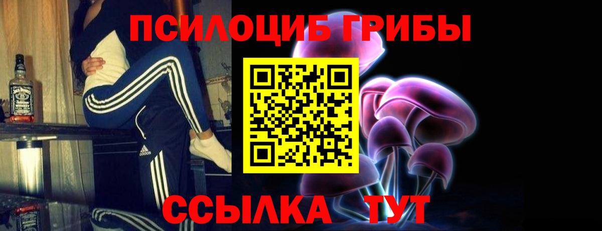 Псилоцибиновые грибы мицелий  Вход с VPN  Северск 