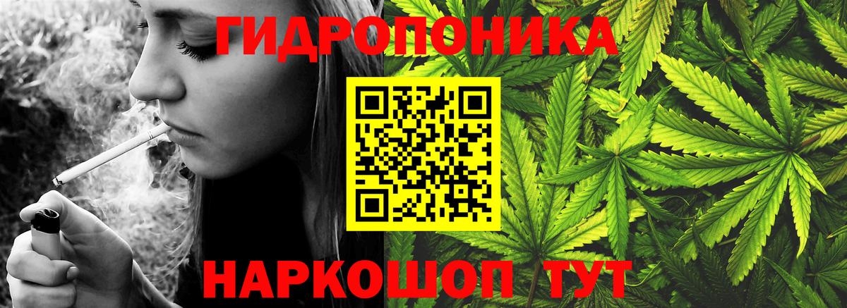 Северск  Каннабис индика  Марихуана гибрид  Конопля конопля  МАРИХУАНА MAZAR  Вход с VPN 